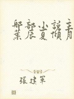 哪部小说主角叫叶辰夏倾月