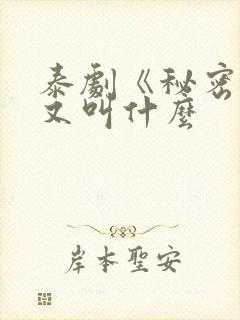 泰剧《秘密爱》又叫什么