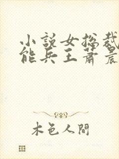 小说女总裁的全能兵王萧晨最新篇章