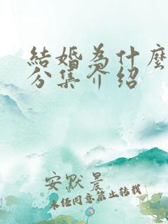 结婚为什么剧情分集介绍