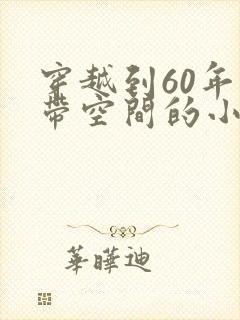穿越到60年代带空间的小说