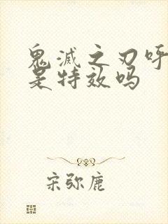 鬼灭之刃呼吸法是特效吗