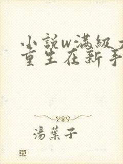 小说w满级大佬重生在新手村?》