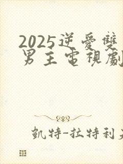 2025逆爱双男主电视剧免费观看全集