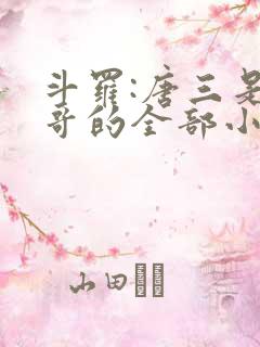 斗罗:唐三是我哥的全部小说