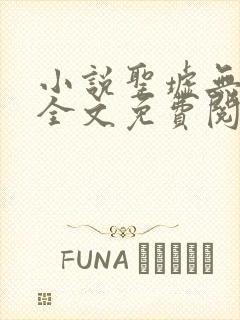 小说圣墟无弹窗全文免费阅读