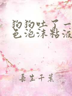 狗狗吐了一滩黄色泡沫粘液