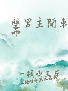 双男主开车名场面