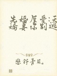 先婚厚爱:天价娇妻你别逃