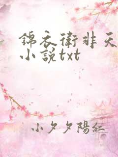 锦衣卫非天夜翔小说txt