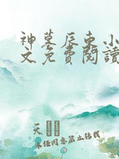 神墓辰东小说原文免费阅读