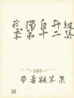 我独自升级第二季第十二集