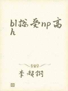 bl总受np高h