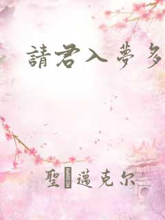 请君入梦多少集