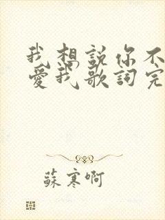 我想说你不是不爱我歌词完整