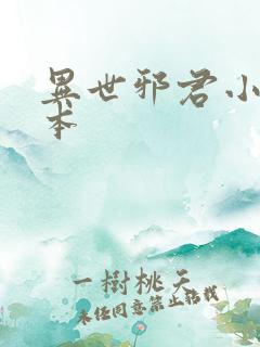 异世邪君小说完本