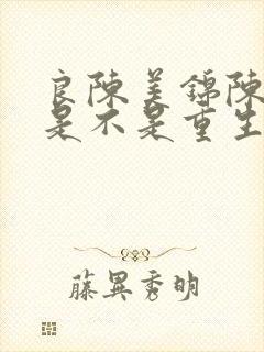 良陈美锦陈玄越是不是重生的