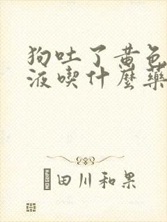 狗吐了黄色的粘液吃什么药