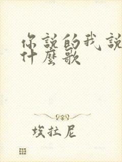 你说的我说的是什么歌