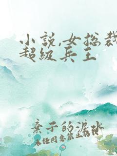 小说,女总裁的超级兵王