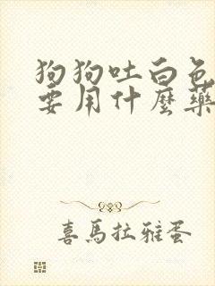 狗狗吐白色粘液要用什么药