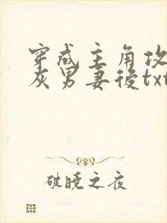 穿成主角攻的炮灰男妻后txt全文