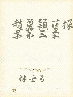 赵丽颖萌探探探案第三季