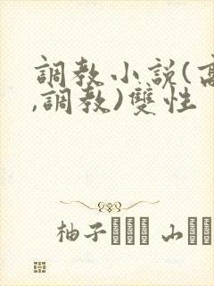 调教小说(高h,调教)双性