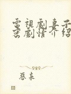 电视剧妻子的秘密剧情介绍