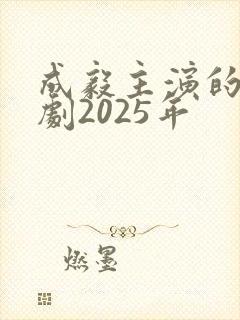 成毅主演的电视剧2025年