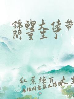 锦鲤大佬带着空间重生了