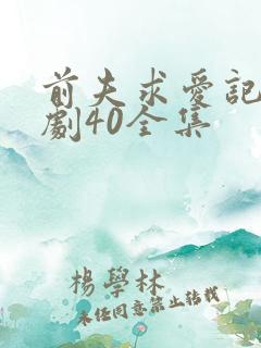 前夫求爱记电视剧40全集