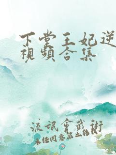 下堂王妃逆袭记视频合集
