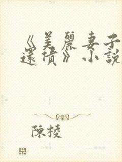 《美丽妻子替夫还债》小说免费阅读