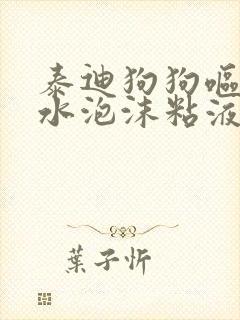 泰迪狗狗呕吐黄水泡沫粘液原因