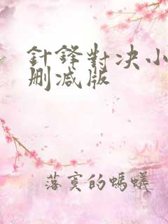 针锋对决小说未删减版