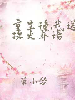 重生后,我送渣攻火葬场