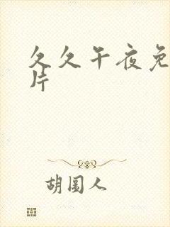 久久午夜免费看片