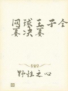 网球王子全国大赛决赛