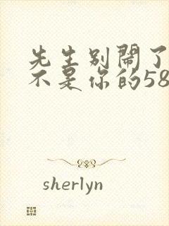 先生别闹了新娘不是你的58集