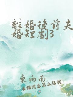 离婚后前夫求复婚短剧3