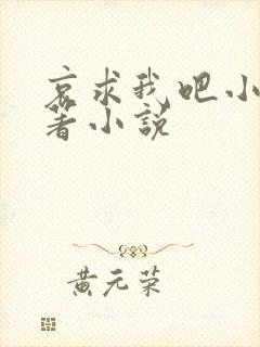 哀求我吧小说原著小说