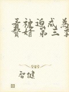 看被迫成为反派赘婿 第三季 动漫