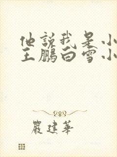 他说我是小妖精王鹏白雪小说