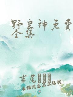 野良神免费漫画全集