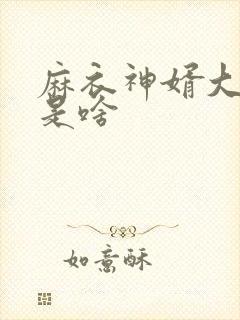 麻衣神婿大结局是啥