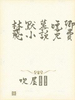 林默慕晚卿贺鸿飞小说免费阅读