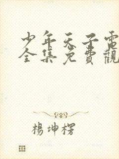 少年天子电视剧全集免费观看西瓜