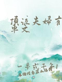 顶流夫妇有点甜车文