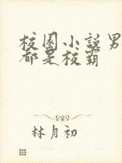 校园小说男女主都是校霸